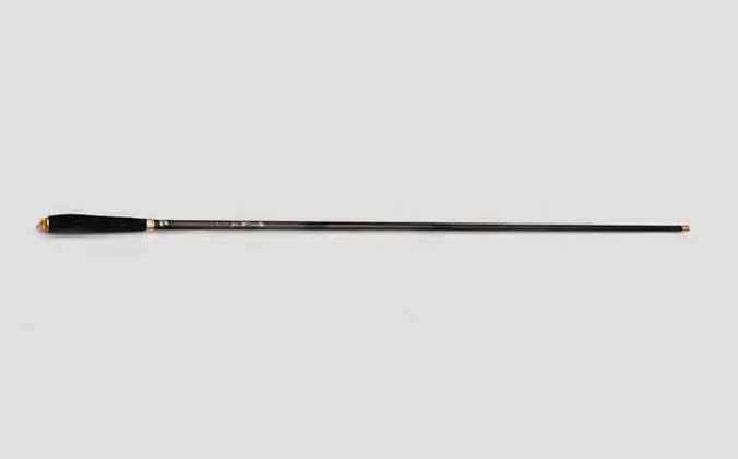 carp rod