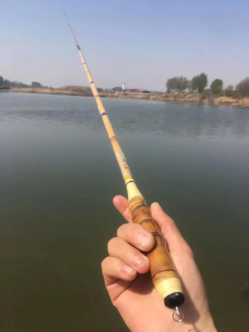 carp rod