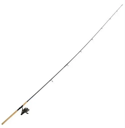carp rod