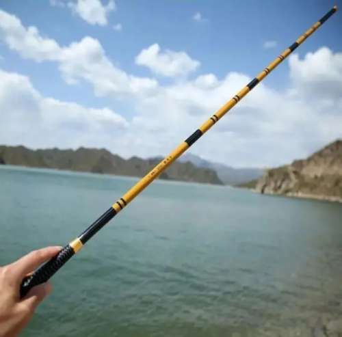 carp rod
